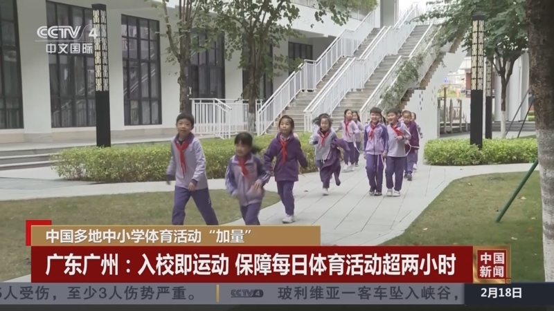 網的選手